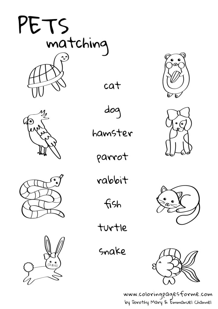 pets matching english worksheet