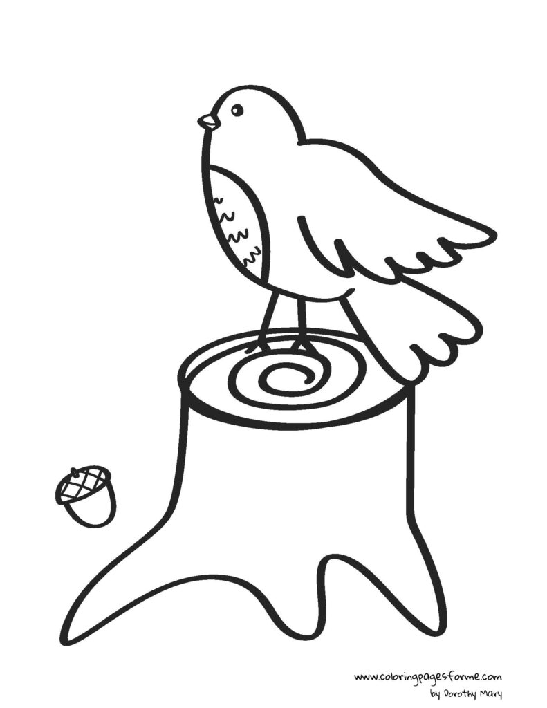 bird coloring page