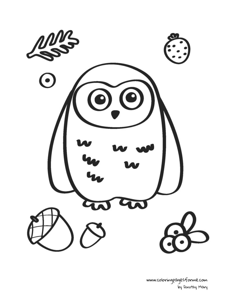 owl coloring page