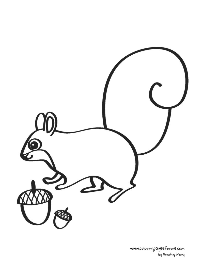 squireel coloring page