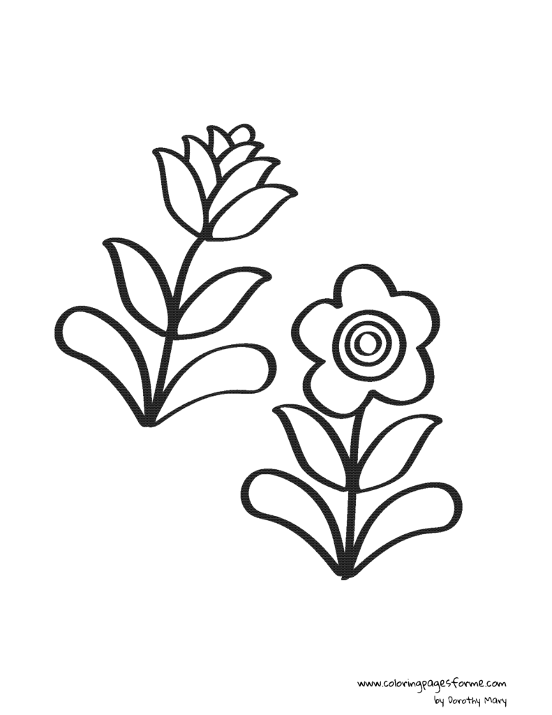 two flowers coloring page